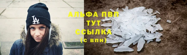 СК Алексин