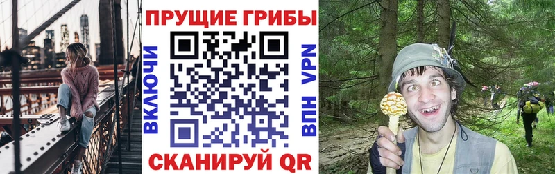Псилоцибиновые грибы MAGIC MUSHROOMS  Инта 